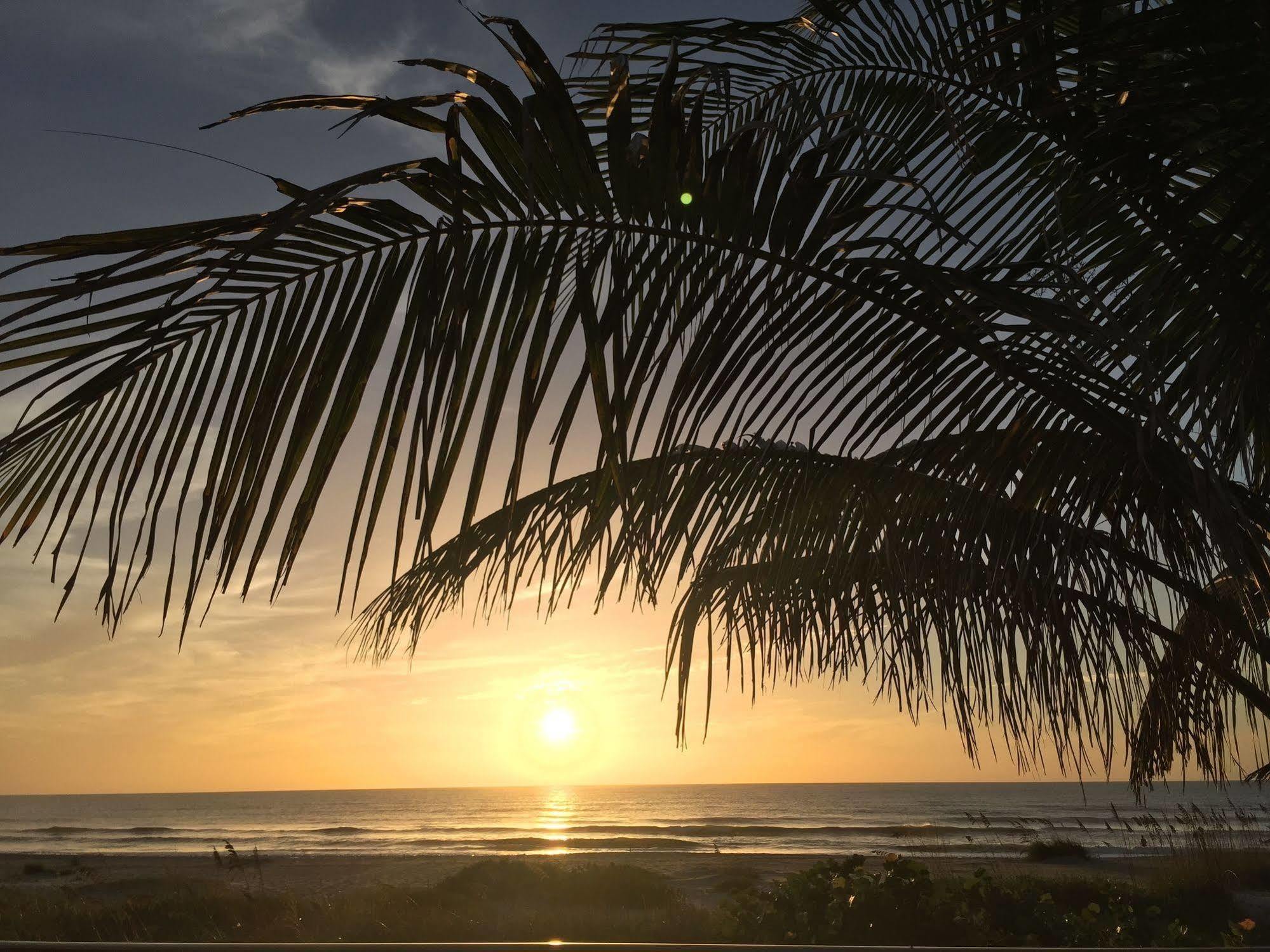 Surf Studio Beach Resort Cocoa Beach Extérieur photo